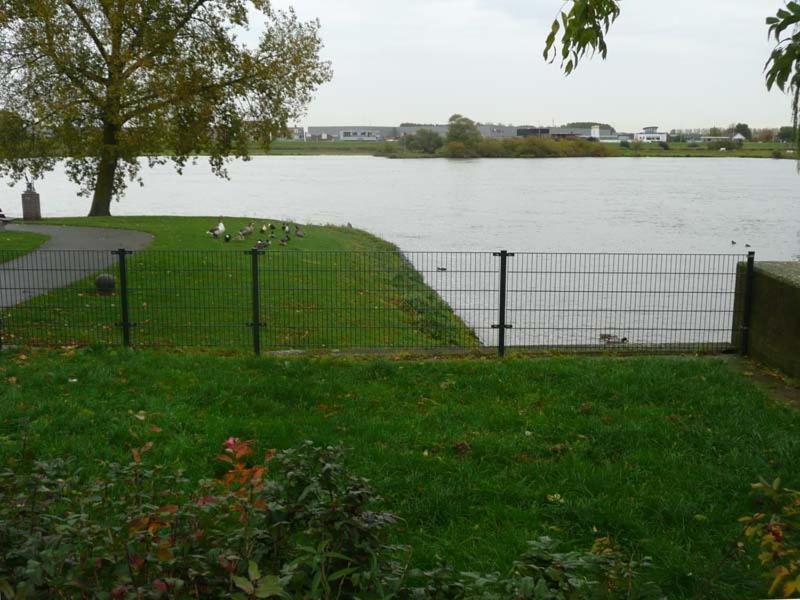 De Zilveren Karper IJsselmuiden Extérieur photo